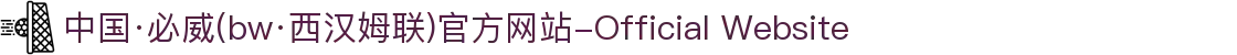 中国·必威(bw·西汉姆联)官方网站-Official Website